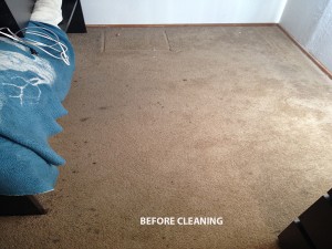 LAFAYETTE_CA_CARPET_CLEANING_BEFORE
