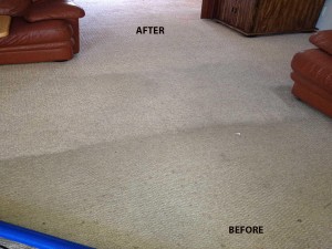 LAFAYETTE_CA_Carpet_Cleaning_2
